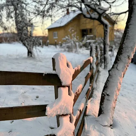 Apartament Mica I Zivo Rudnik