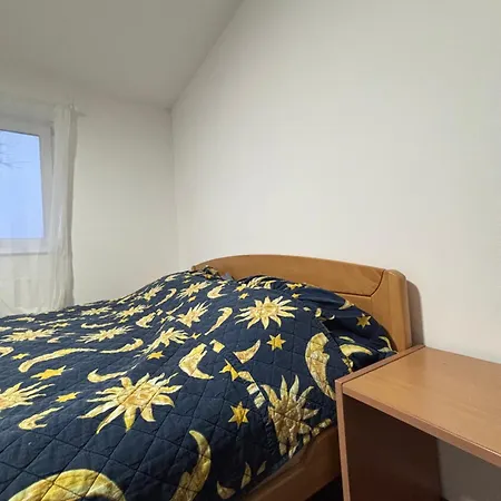 Mica I Zivo Apartament Rudnik
